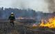 forest fire fire fighter